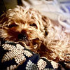 connie_stidham